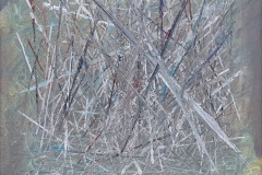 Saçma-30x30-TÜAB-2016